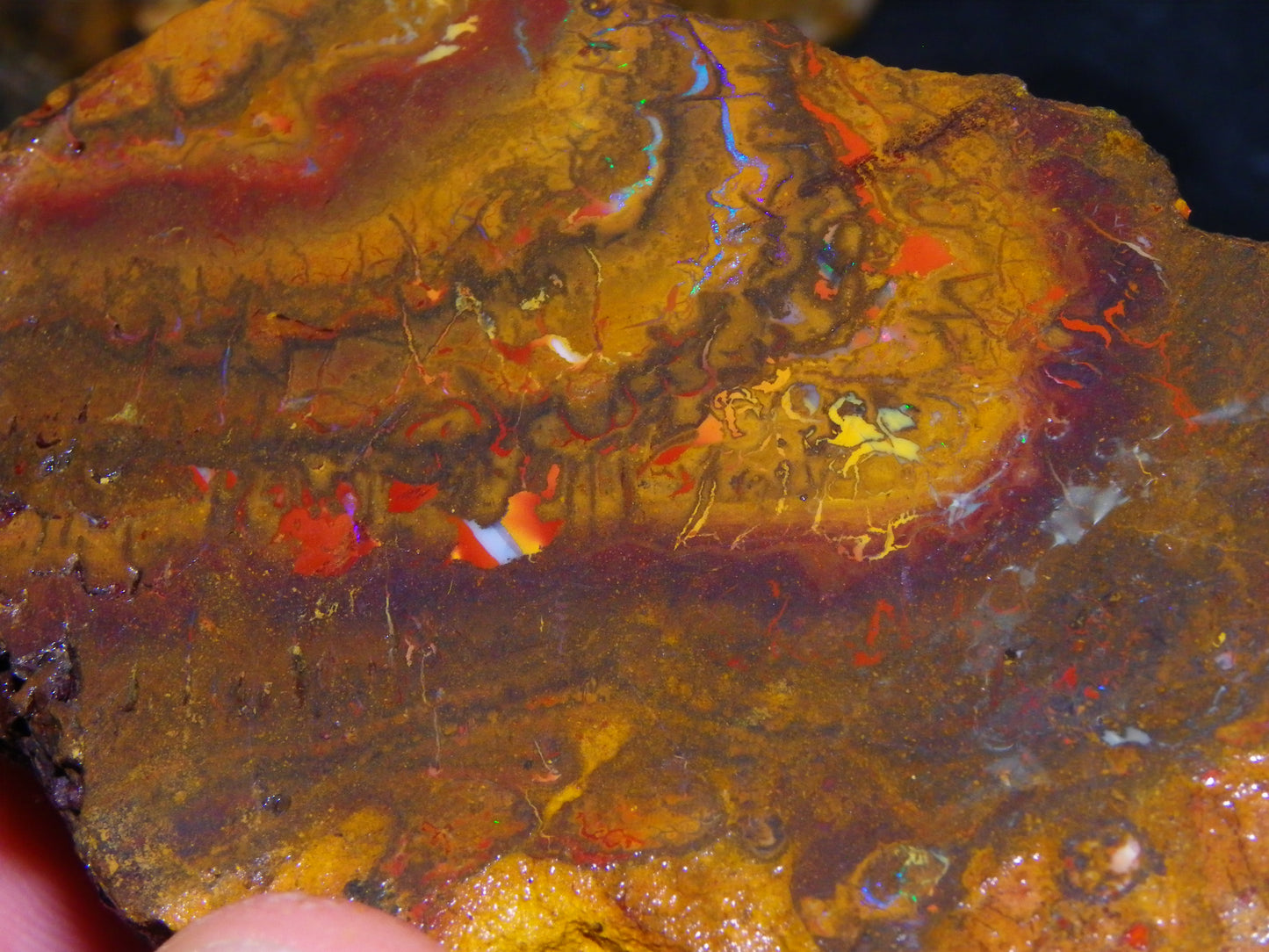 Larger Parcel 4126cts Rough Koroit Slabs x3 Patterns Some Fires Queensland Australia