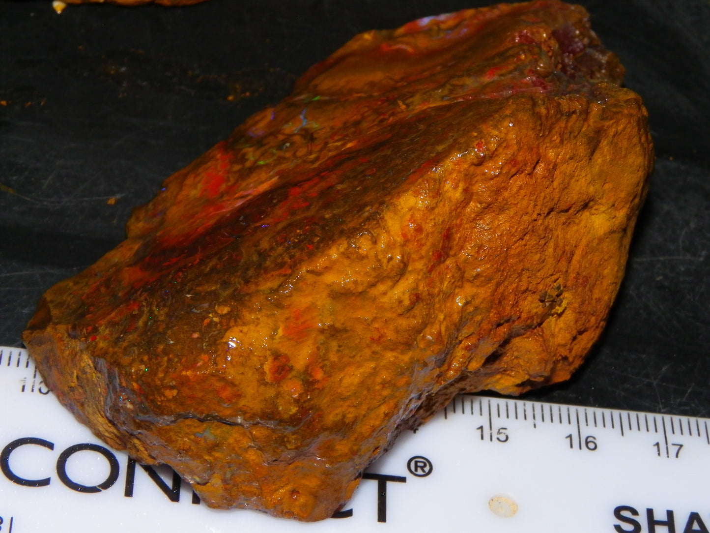Larger Parcel 4126cts Rough Koroit Slabs x3 Patterns Some Fires Queensland Australia