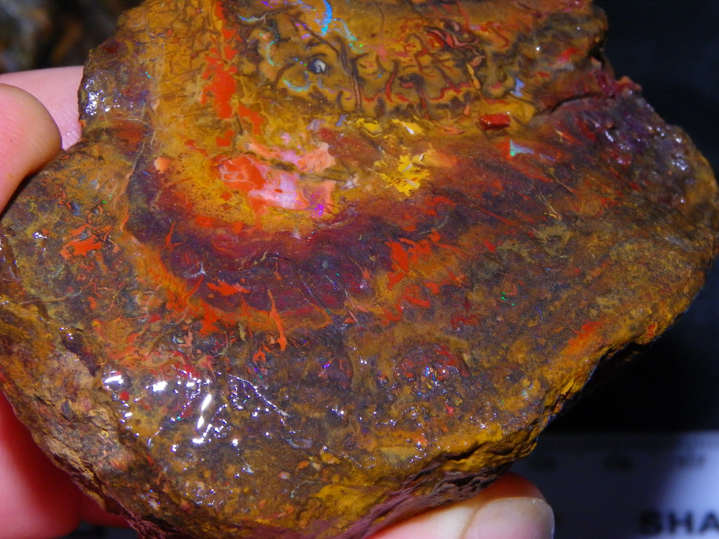 Larger Parcel 4126cts Rough Koroit Slabs x3 Patterns Some Fires Queensland Australia