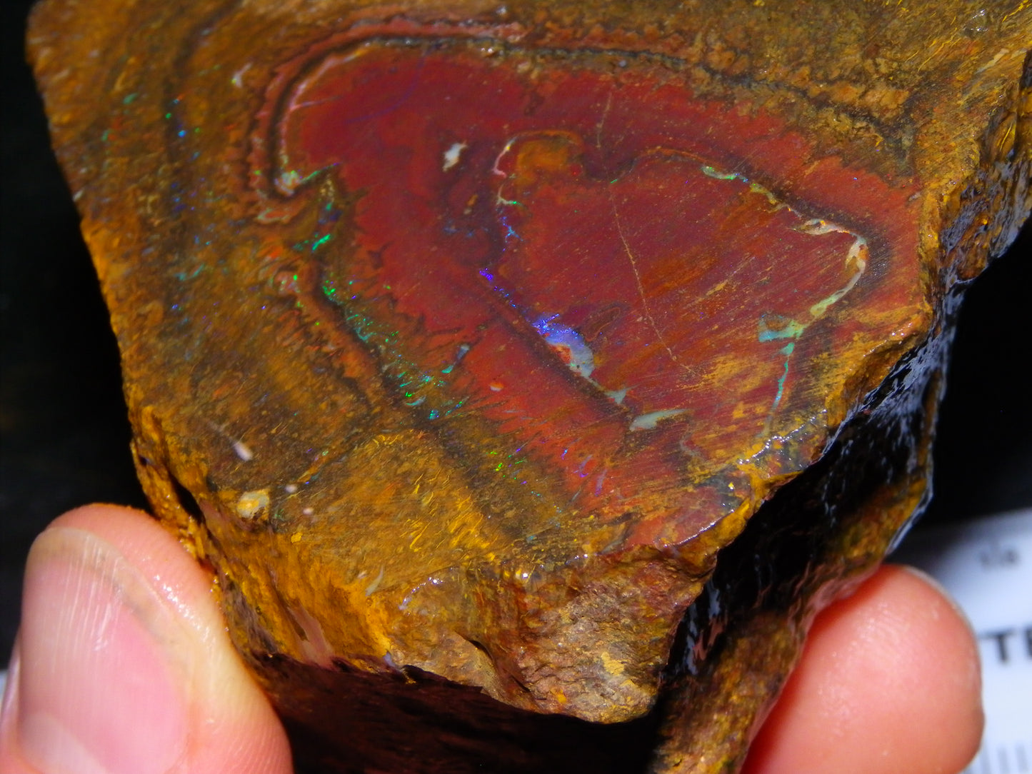 Larger Parcel 4126cts Rough Koroit Slabs x3 Patterns Some Fires Queensland Australia