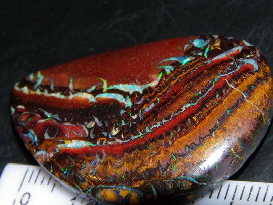 Nice Cut/Polished Koroit Opal Cab/Freeform 59.4cts Patterns/Fires Queensland Au