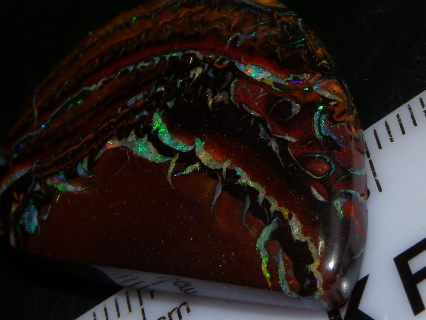 Nice Cut/Polished Koroit Opal Cab/Freeform 59.4cts Patterns/Fires Queensland Au