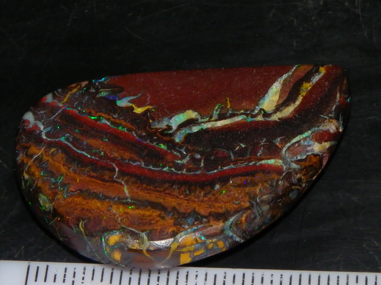 Nice Cut/Polished Koroit Opal Cab/Freeform 59.4cts Patterns/Fires Queensland Au