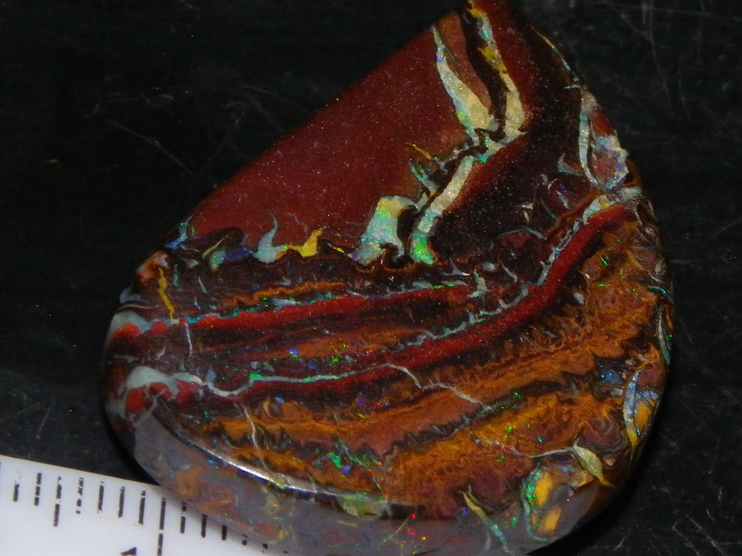 Nice Cut/Polished Koroit Opal Cab/Freeform 59.4cts Patterns/Fires Queensland Au