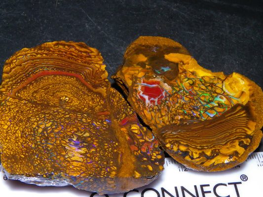 2 Nice Rough/Sliced Koroit Opals 595cts Queensland Australia Fires/Patterns