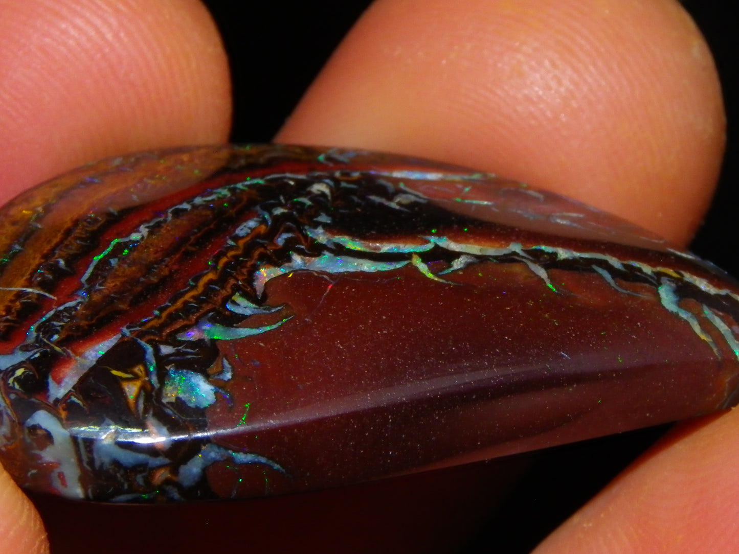 Nice Cut/Polished Koroit Opal Cab/Freeform 59.4cts Patterns/Fires Queensland Au