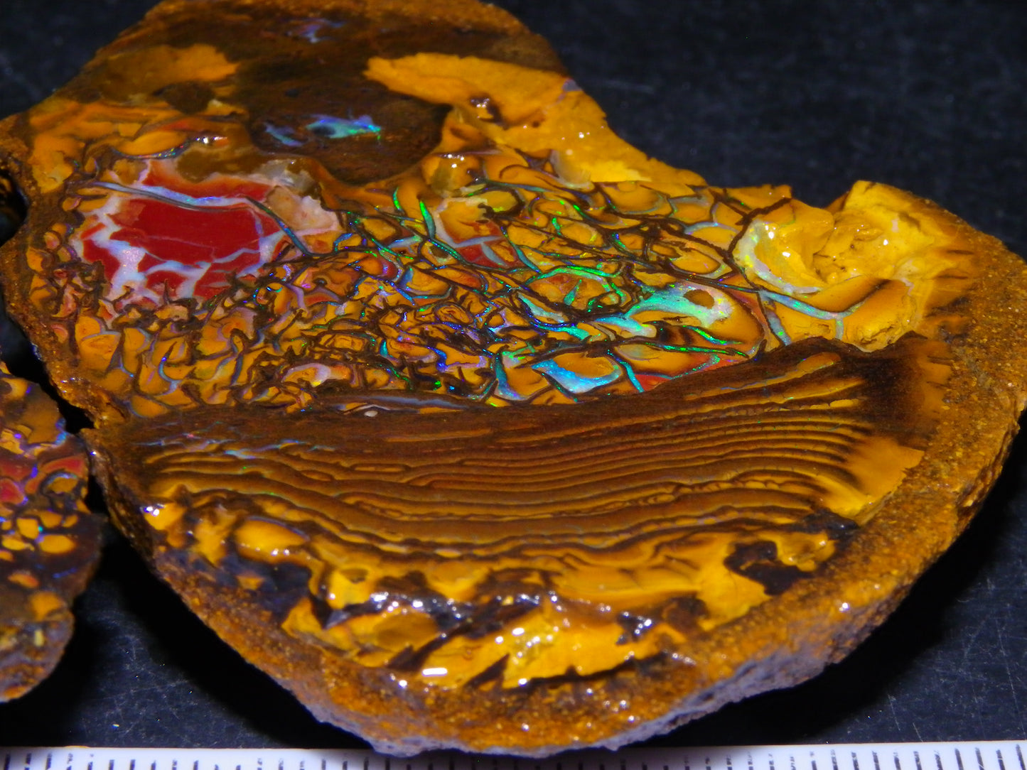 2 Nice Rough/Sliced Koroit Opals 595cts Queensland Australia Fires/Patterns