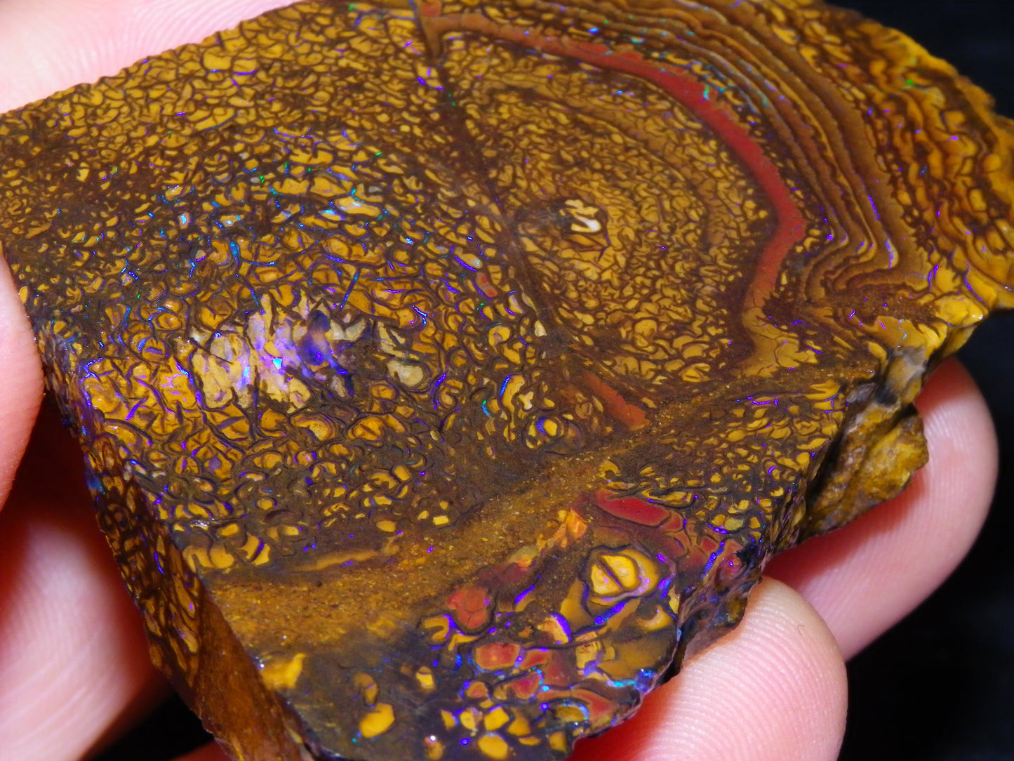 2 Nice Rough/Sliced Koroit Opals 595cts Queensland Australia Fires/Patterns