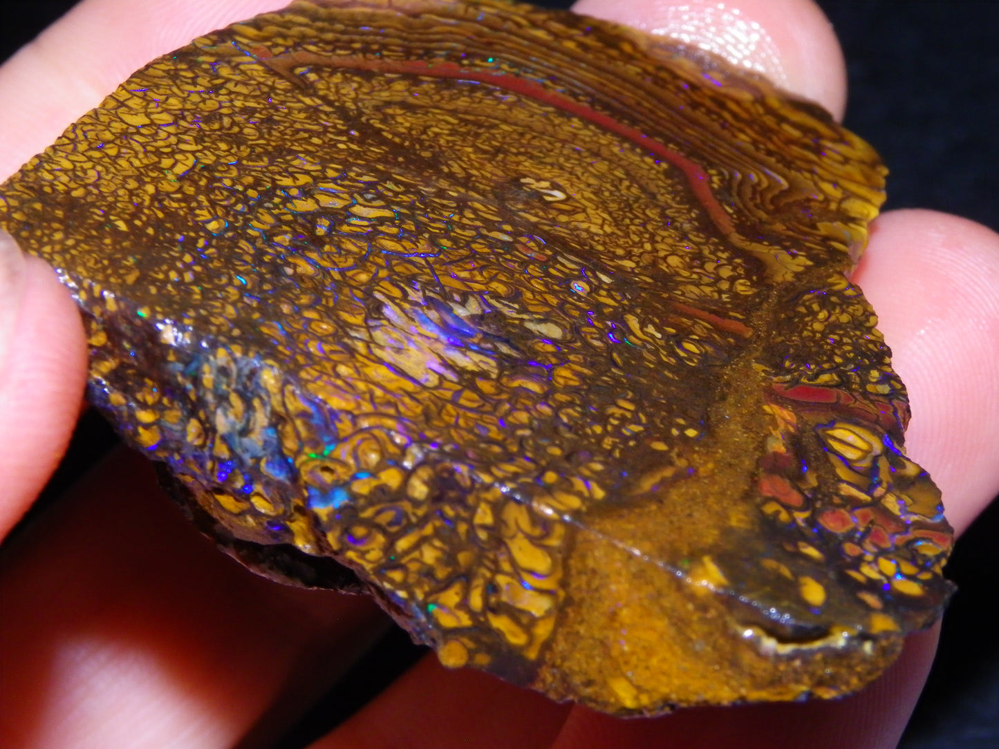 2 Nice Rough/Sliced Koroit Opals 595cts Queensland Australia Fires/Patterns