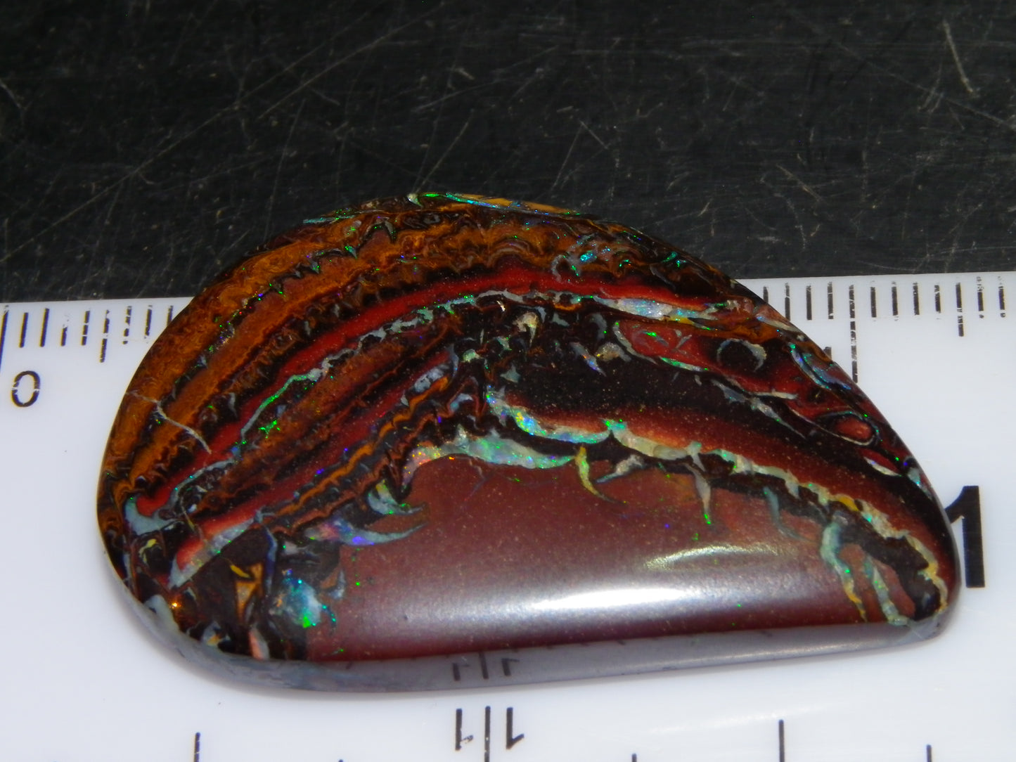 Nice Cut/Polished Koroit Opal Cab/Freeform 59.4cts Patterns/Fires Queensland Au