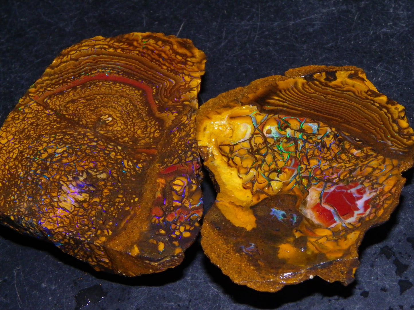 2 Nice Rough/Sliced Koroit Opals 595cts Queensland Australia Fires/Patterns