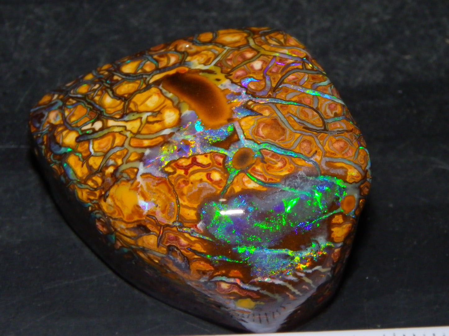 Nice Quality Gem Koroit Opal Rub/Rough 131.45cts Queensland Australia Fires/Patterns