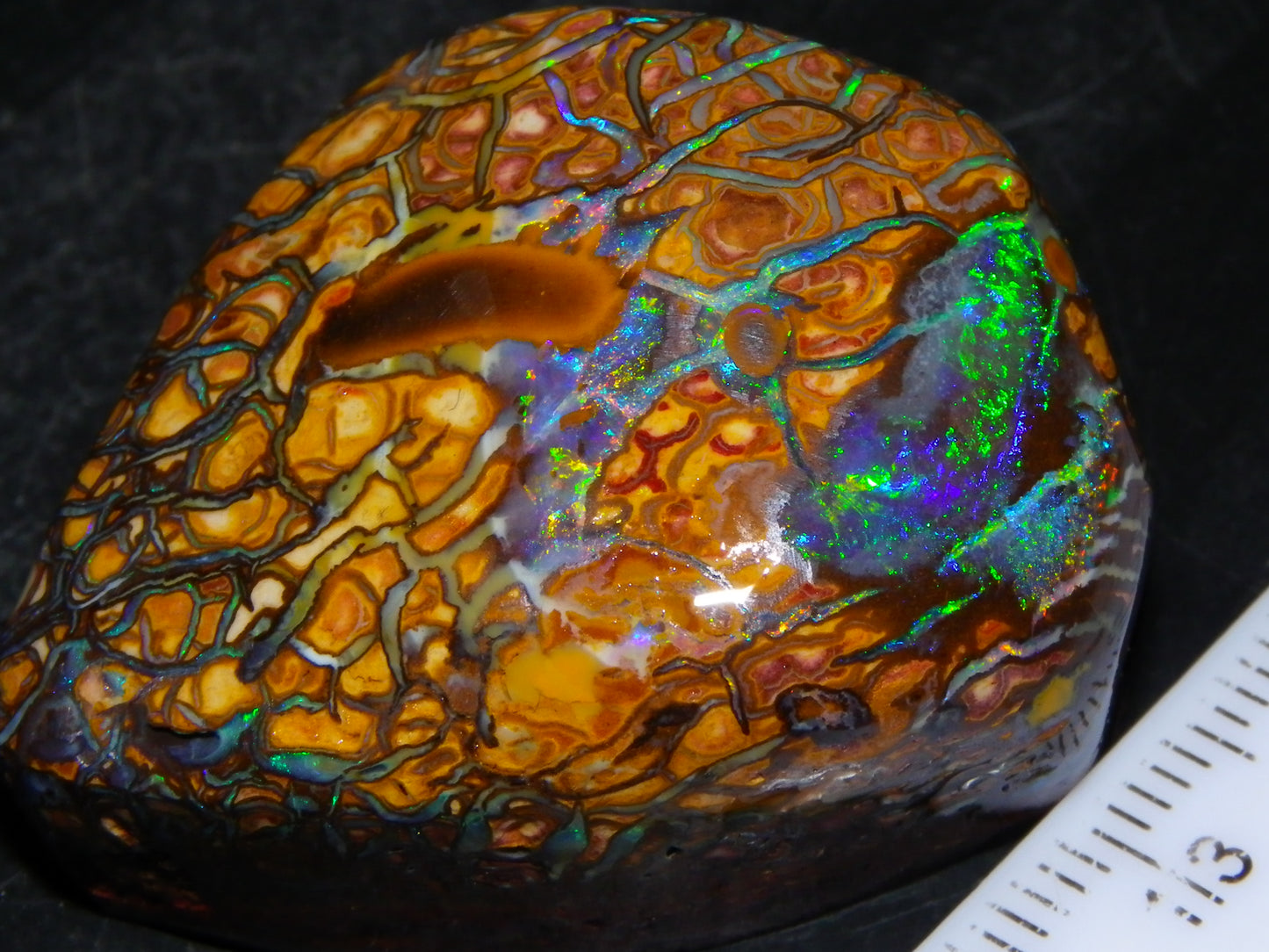 Nice Quality Gem Koroit Opal Rub/Rough 131.45cts Queensland Australia Fires/Patterns