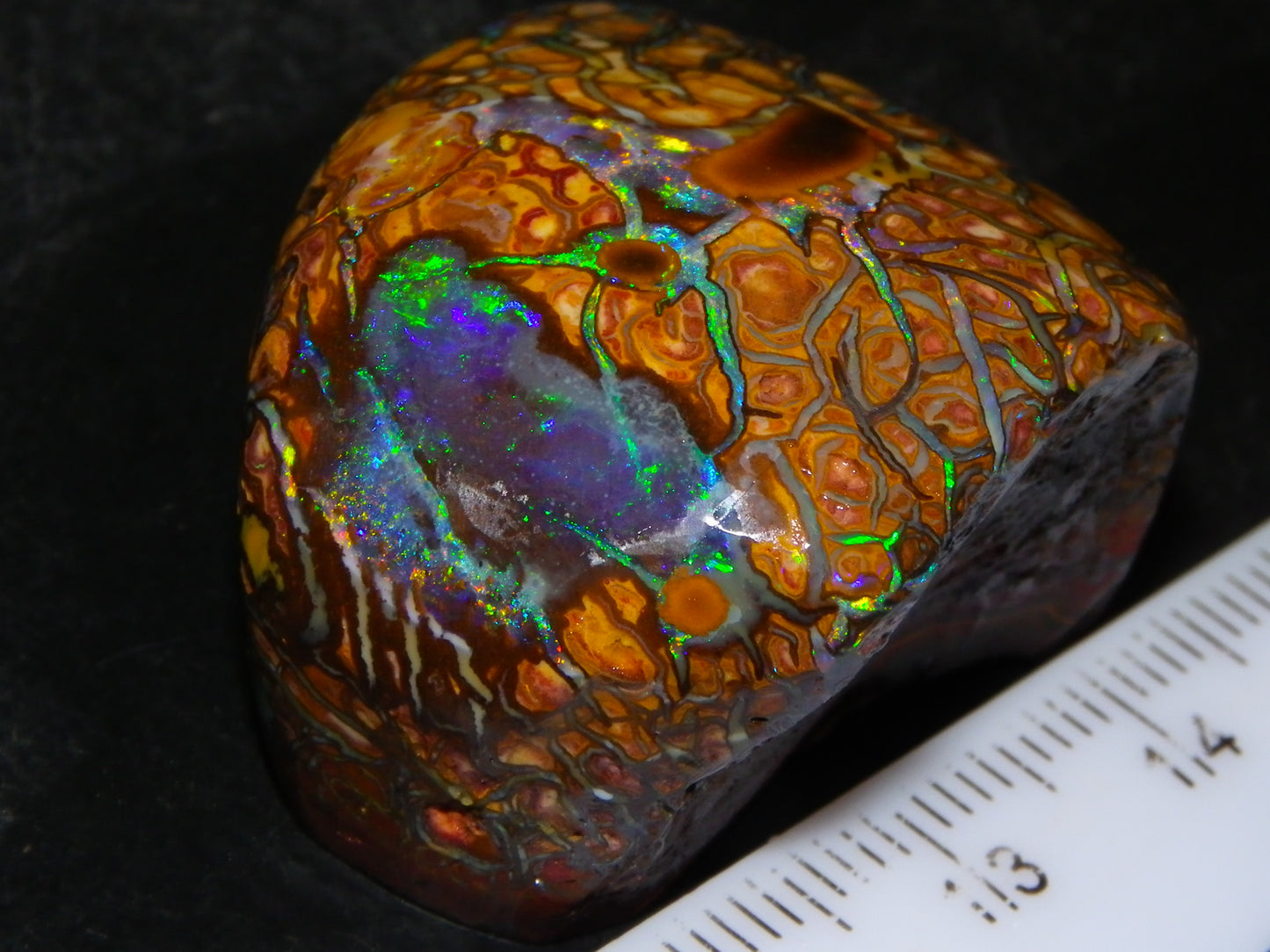 Nice Quality Gem Koroit Opal Rub/Rough 131.45cts Queensland Australia Fires/Patterns