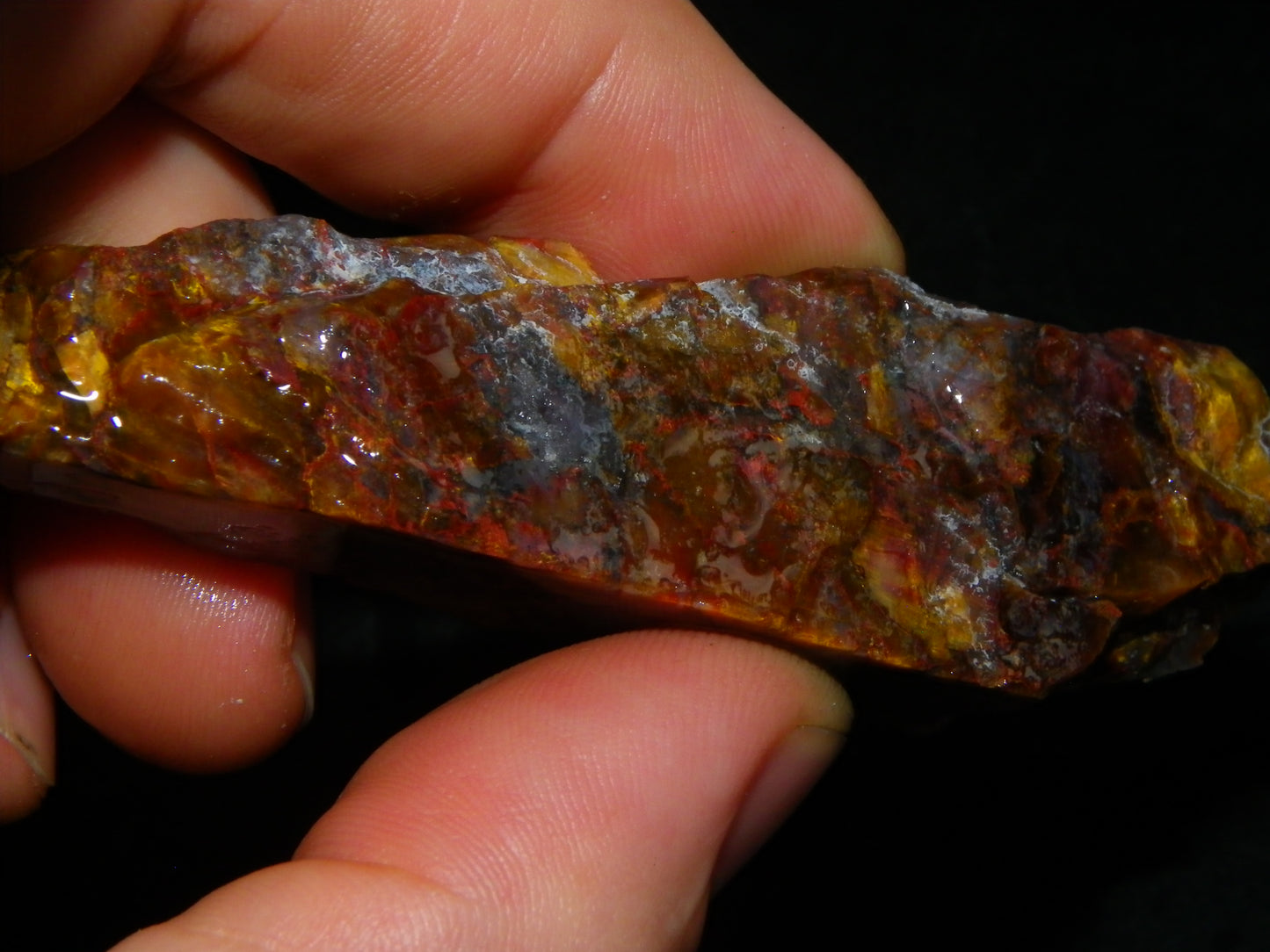 Nice Pietersite Rough/Sliced Specimens 917cts Namibia Red/Gold/Blue Colours