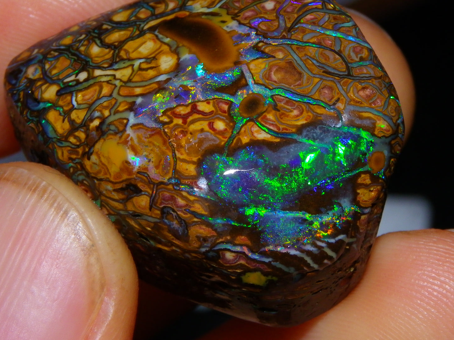 Nice Quality Gem Koroit Opal Rub/Rough 131.45cts Queensland Australia Fires/Patterns