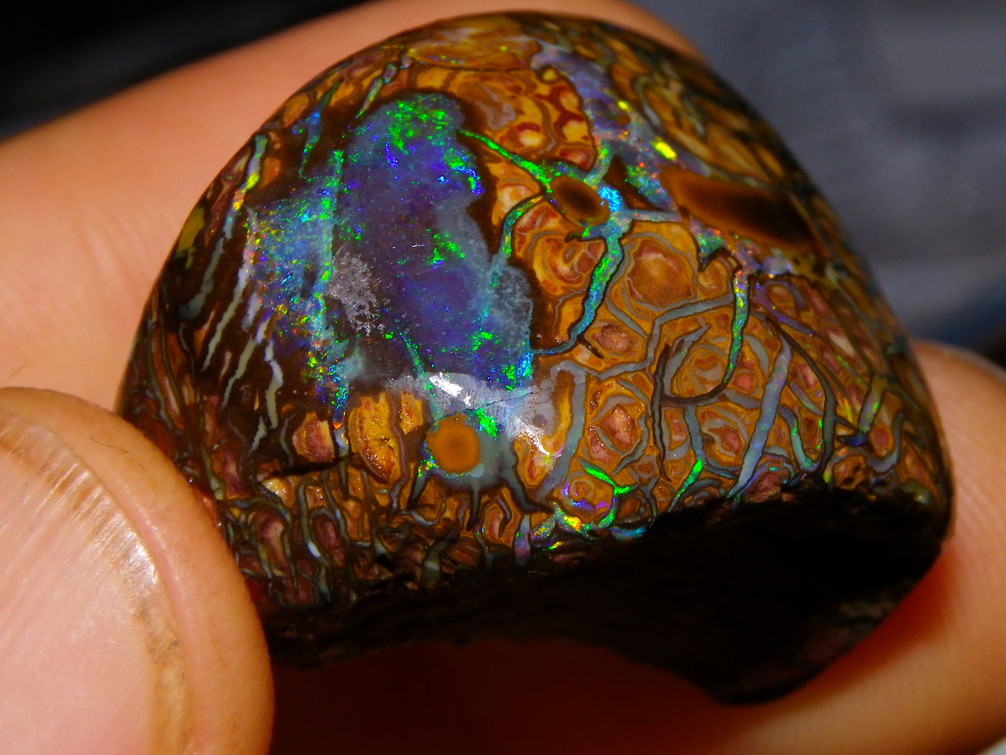 Nice Quality Gem Koroit Opal Rub/Rough 131.45cts Queensland Australia Fires/Patterns