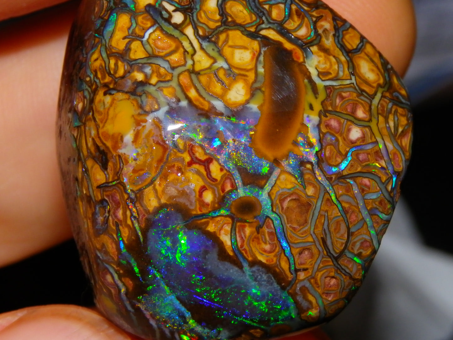 Nice Quality Gem Koroit Opal Rub/Rough 131.45cts Queensland Australia Fires/Patterns