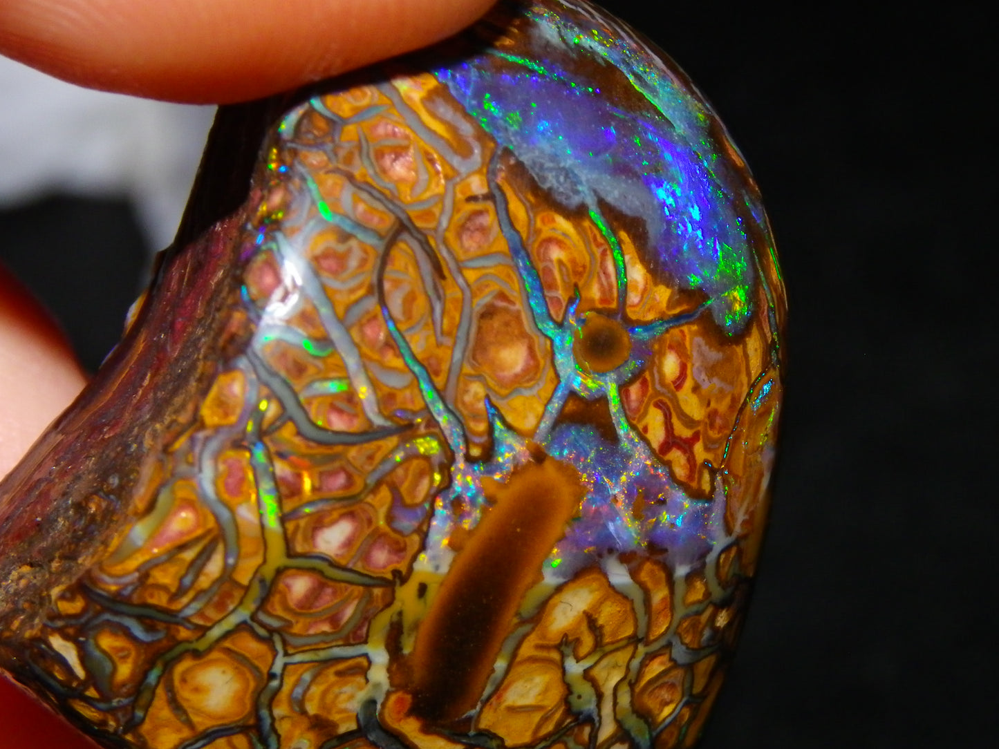 Nice Quality Gem Koroit Opal Rub/Rough 131.45cts Queensland Australia Fires/Patterns