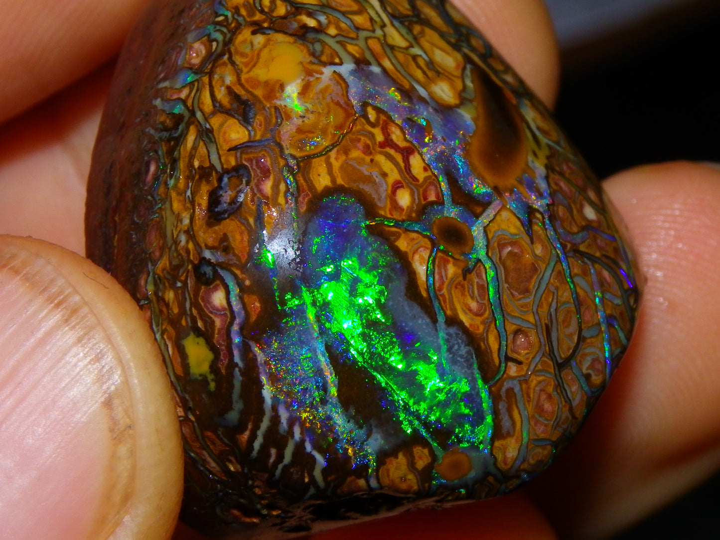 Nice Quality Gem Koroit Opal Rub/Rough 131.45cts Queensland Australia Fires/Patterns