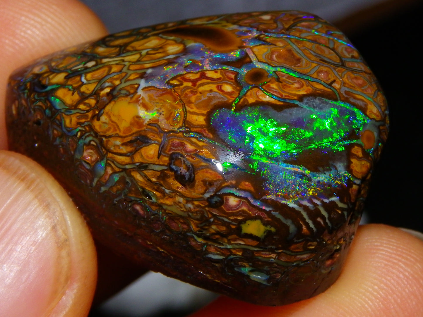 Nice Quality Gem Koroit Opal Rub/Rough 131.45cts Queensland Australia Fires/Patterns