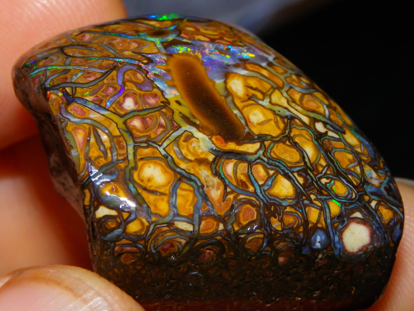 Nice Quality Gem Koroit Opal Rub/Rough 131.45cts Queensland Australia Fires/Patterns