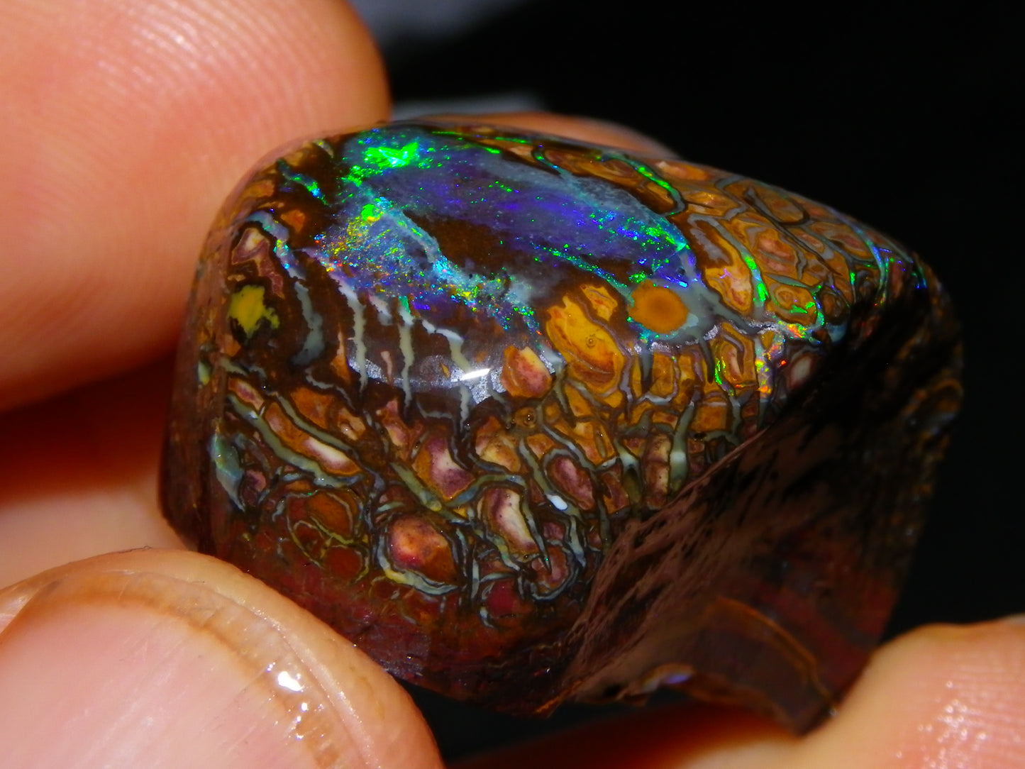 Nice Quality Gem Koroit Opal Rub/Rough 131.45cts Queensland Australia Fires/Patterns