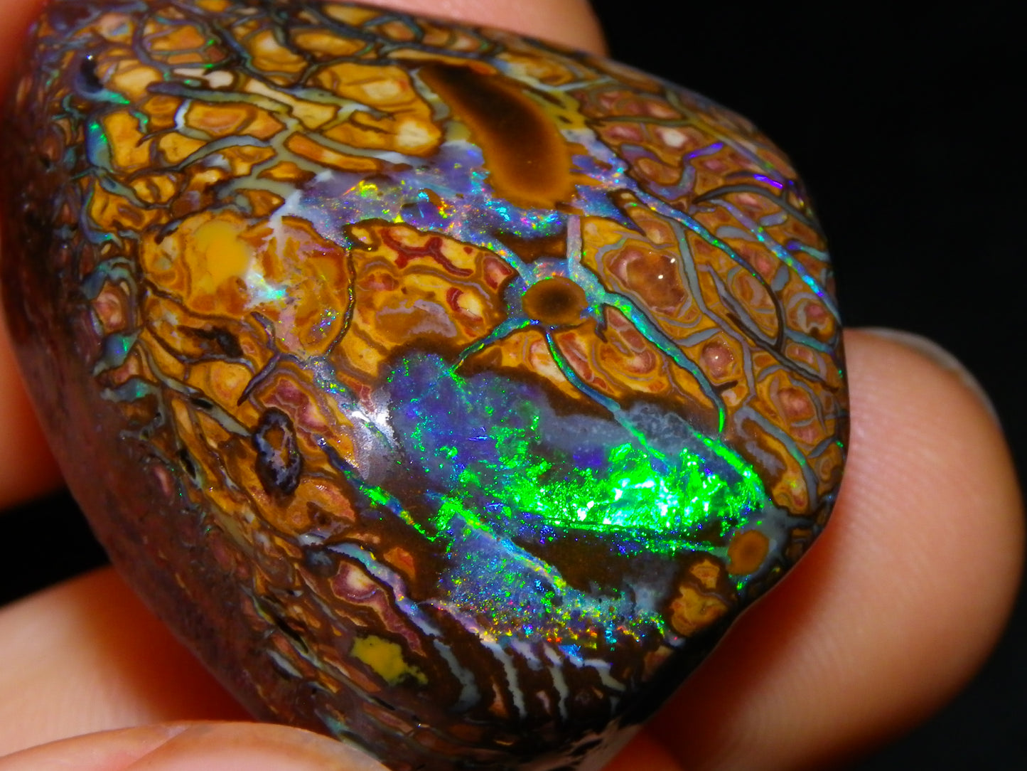 Nice Quality Gem Koroit Opal Rub/Rough 131.45cts Queensland Australia Fires/Patterns