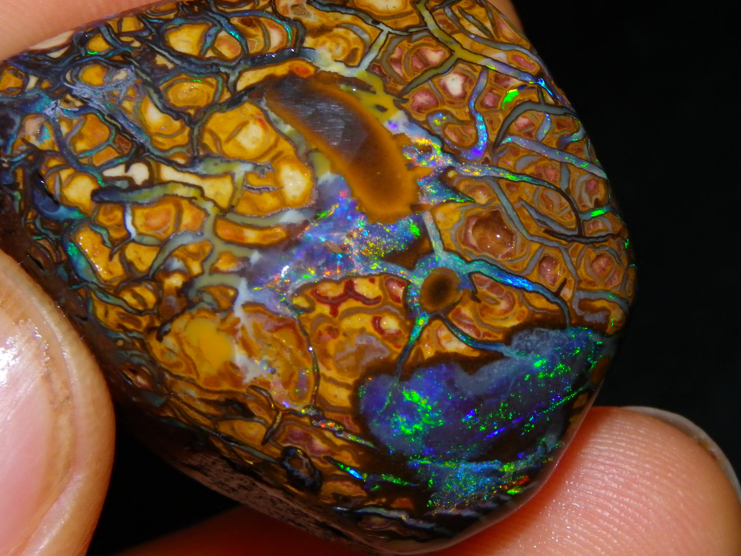 Nice Quality Gem Koroit Opal Rub/Rough 131.45cts Queensland Australia Fires/Patterns