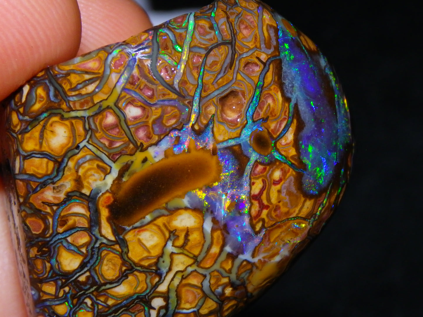 Nice Quality Gem Koroit Opal Rub/Rough 131.45cts Queensland Australia Fires/Patterns