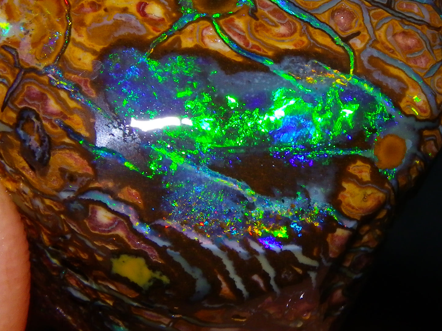 Nice Quality Gem Koroit Opal Rub/Rough 131.45cts Queensland Australia Fires/Patterns