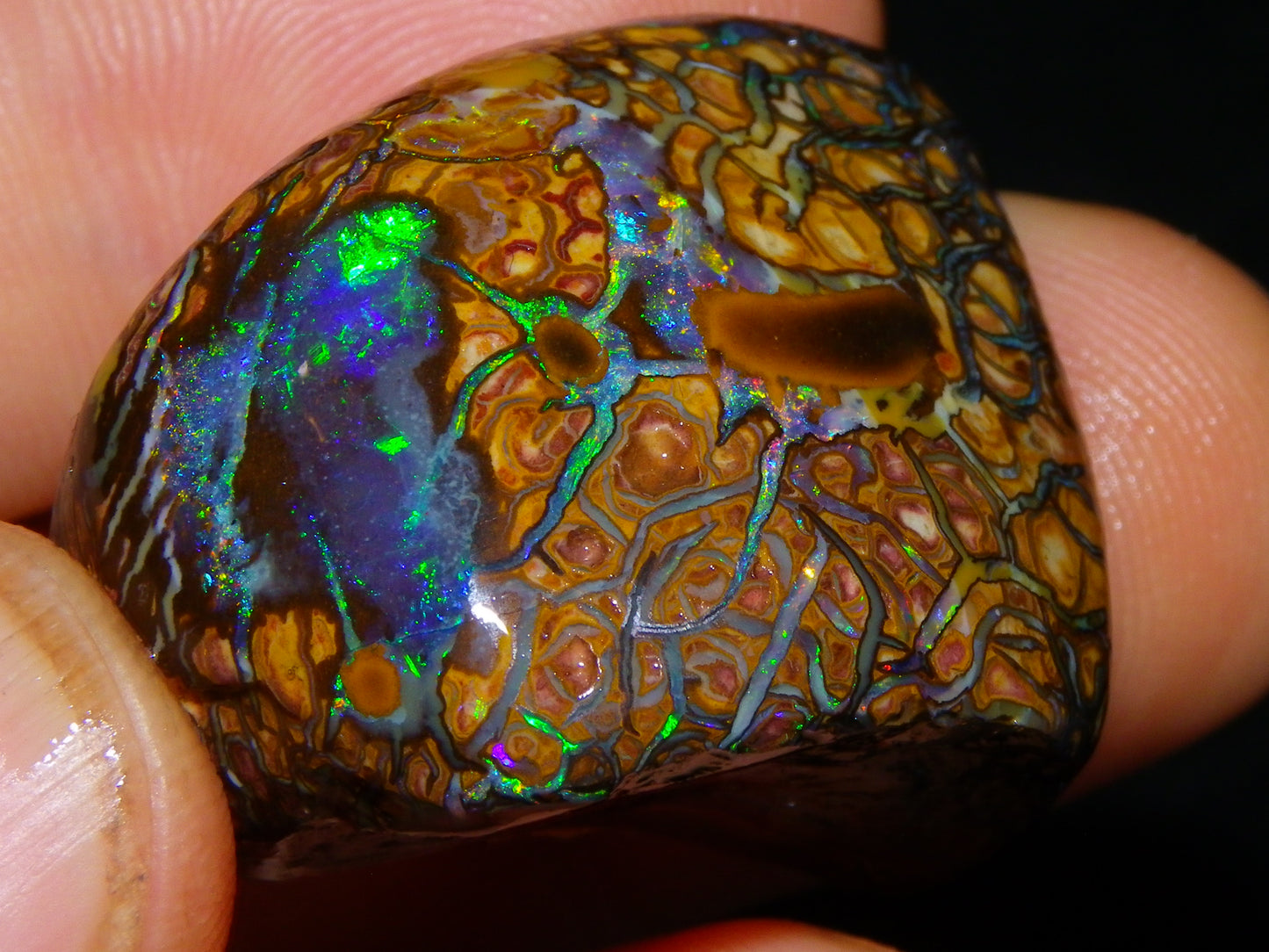 Nice Quality Gem Koroit Opal Rub/Rough 131.45cts Queensland Australia Fires/Patterns