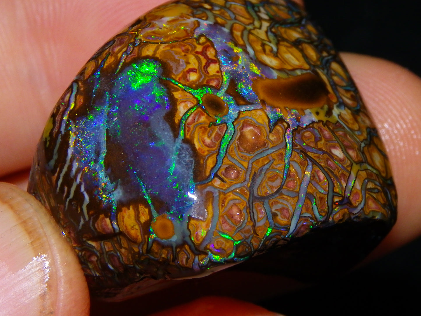 Nice Quality Gem Koroit Opal Rub/Rough 131.45cts Queensland Australia Fires/Patterns