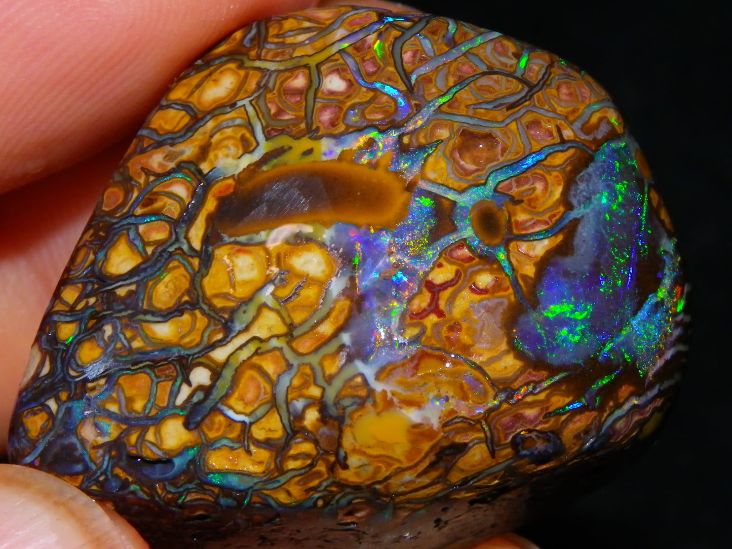 Nice Quality Gem Koroit Opal Rub/Rough 131.45cts Queensland Australia Fires/Patterns