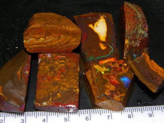 Nice Rough/Sliced/Rubbed Koroit Opal 481cts Queensland Australia Some Fires Au