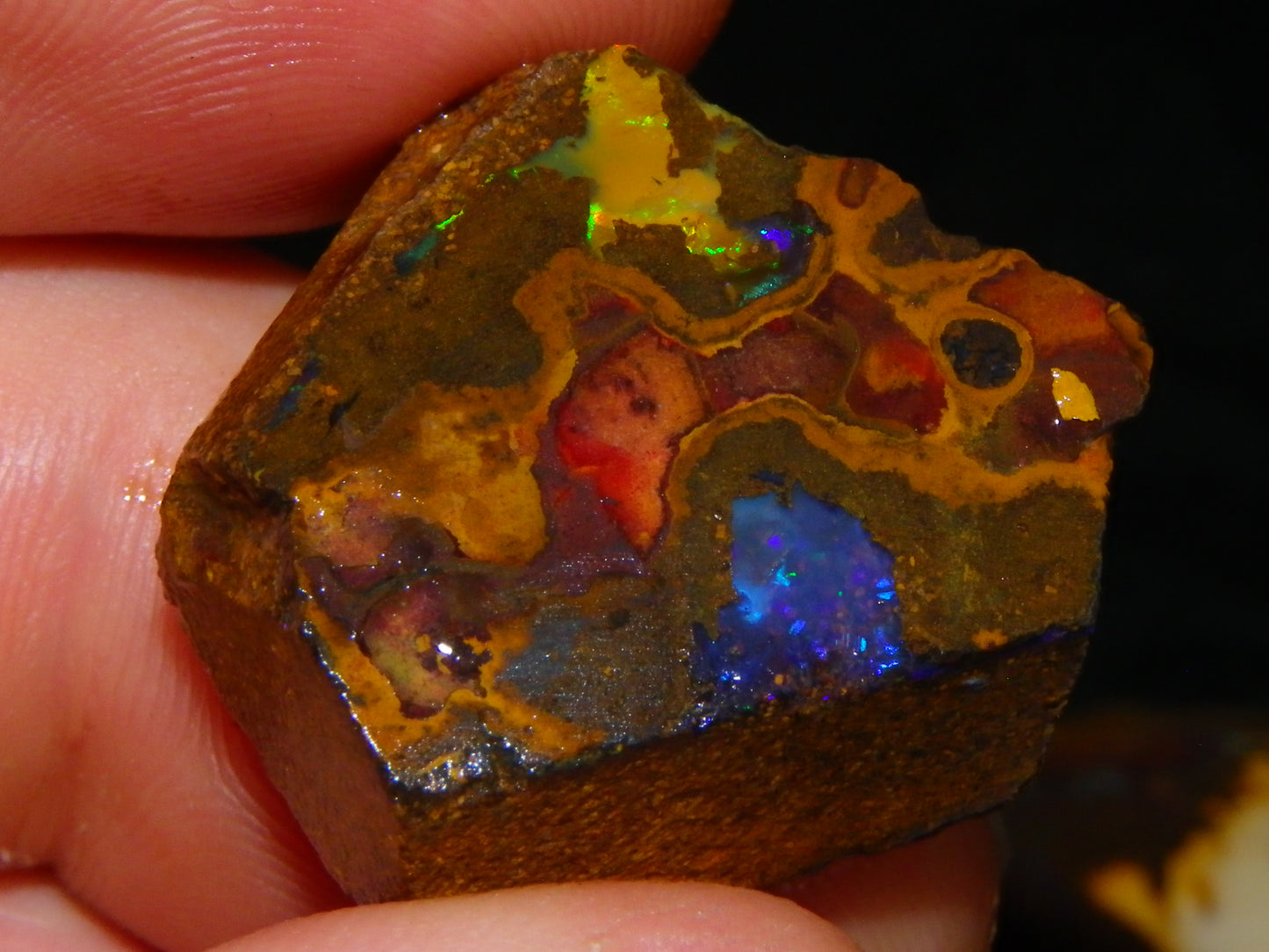 Nice Rough/Sliced/Rubbed Koroit Opal 481cts Queensland Australia Some Fires Au
