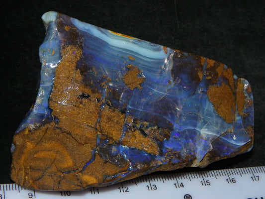 Nice Polished Boulder Opal Specimen 1083cts Queensland Australia Some Blue Fires :)