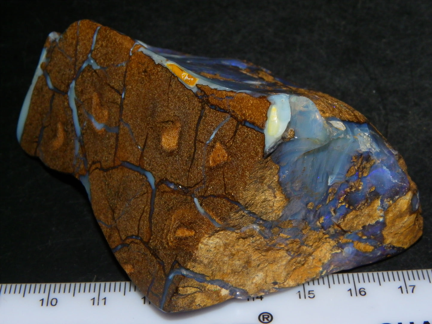 Nice Polished Boulder Opal Specimen 1083cts Queensland Australia Some Blue Fires :)