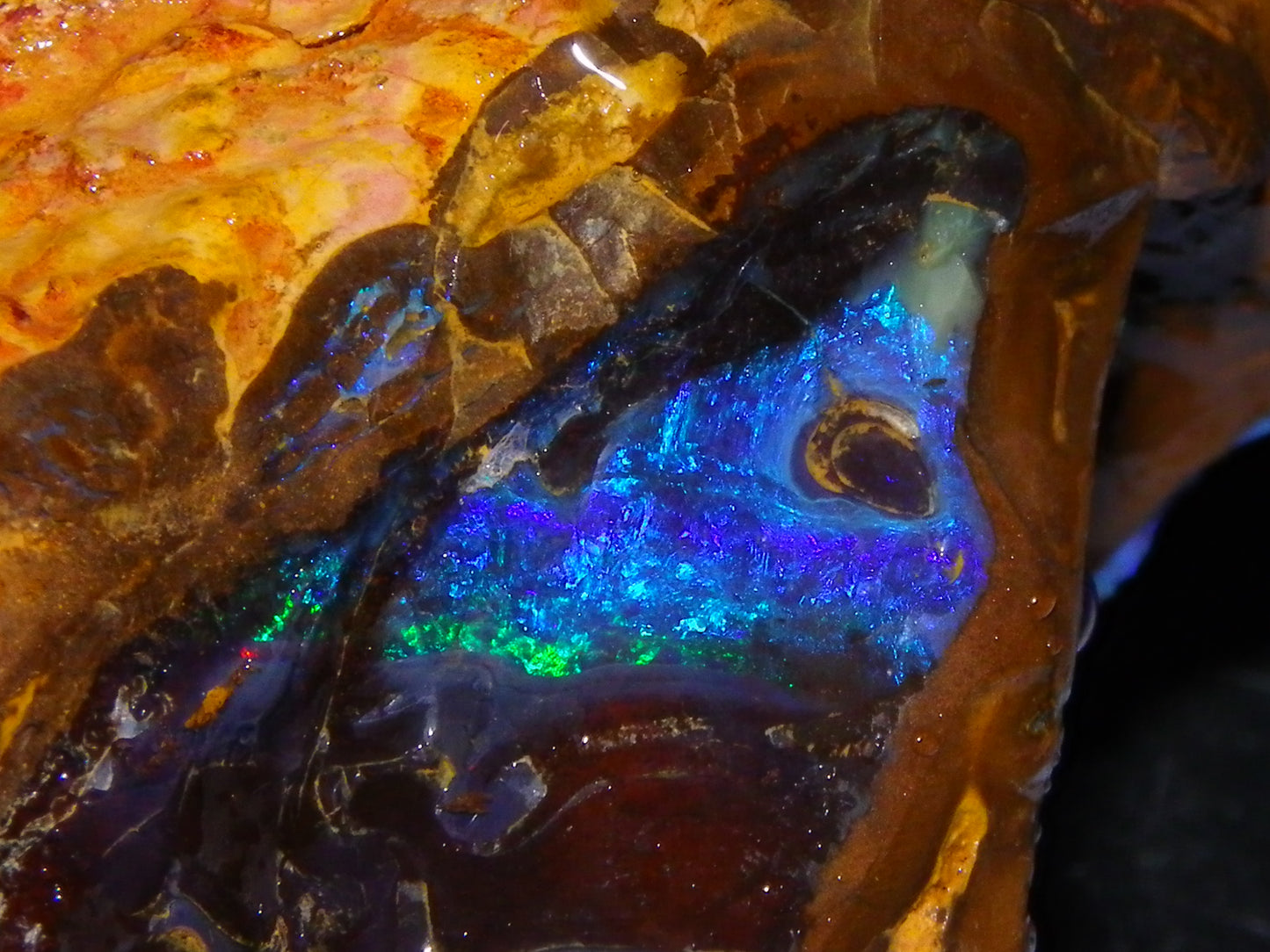 Nice Rough Boulder Opal Specimen 403cts winton Queensland Australia Blue/Greens