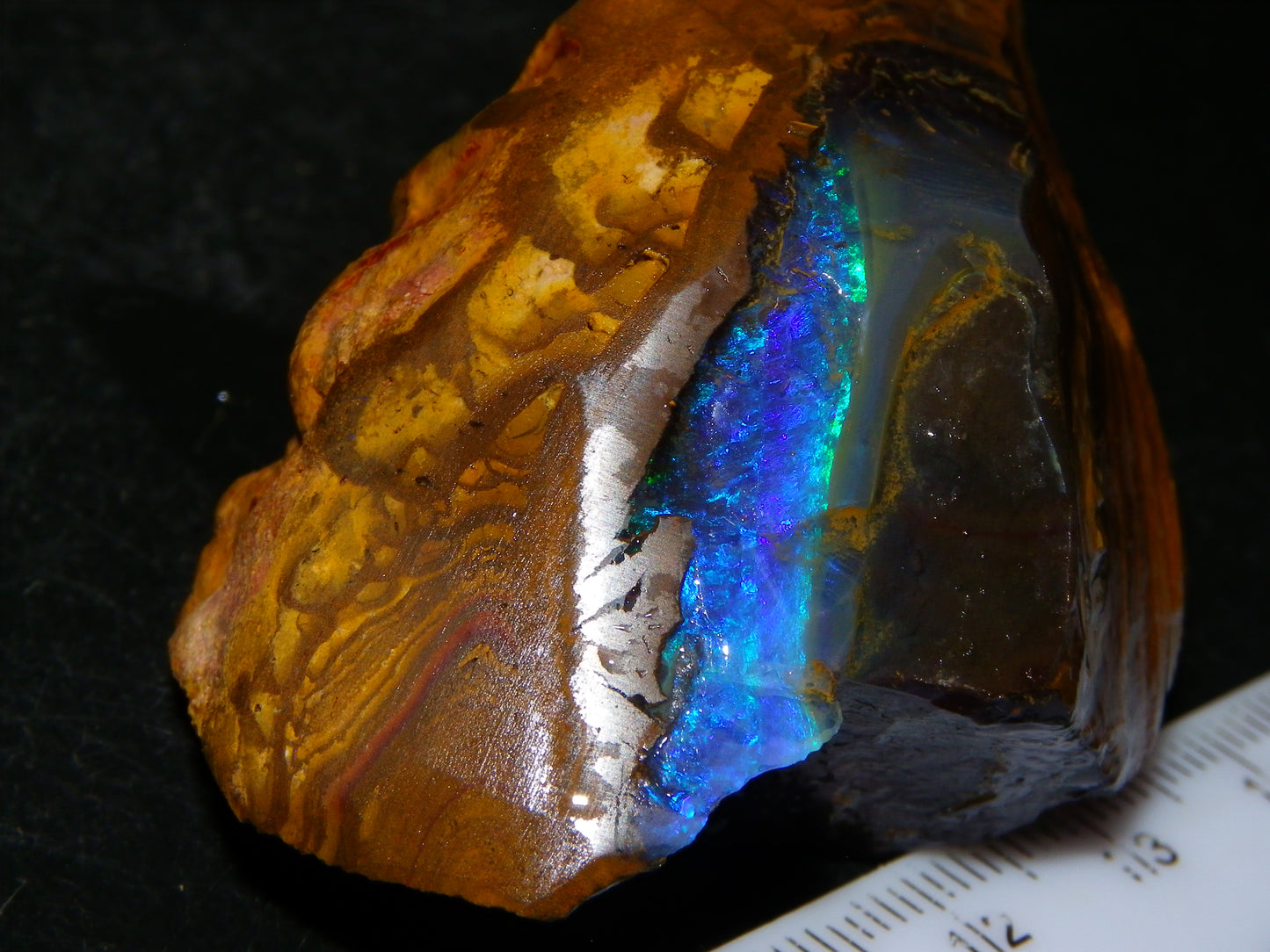 Nice Rough Boulder Opal Specimen 403cts winton Queensland Australia Blue/Greens