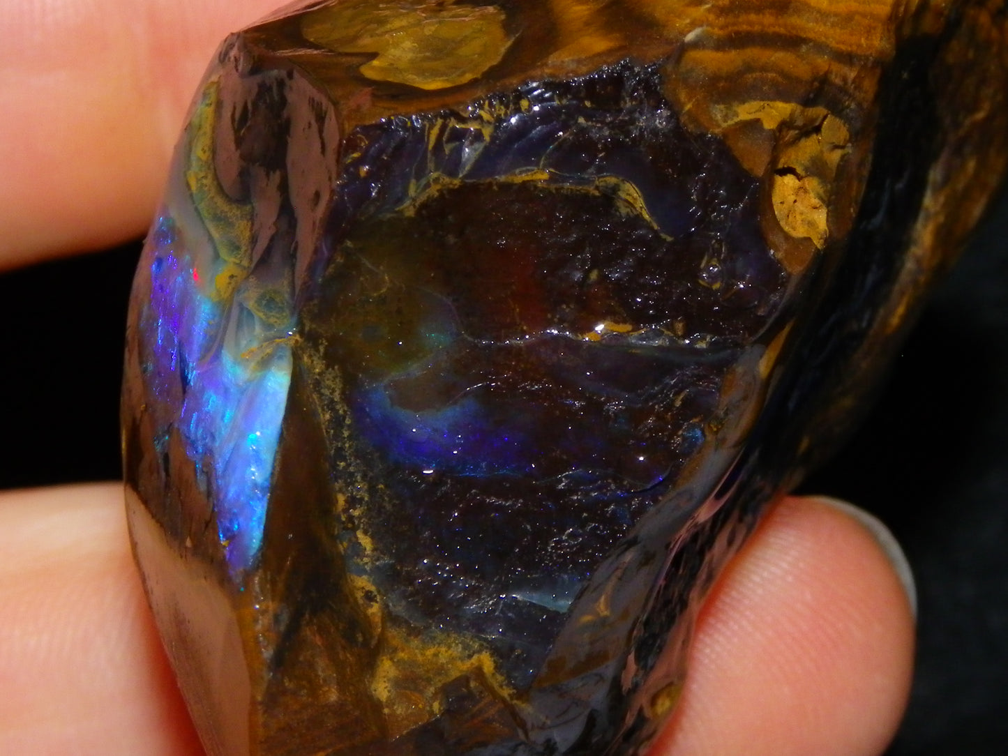 Nice Rough Boulder Opal Specimen 403cts winton Queensland Australia Blue/Greens