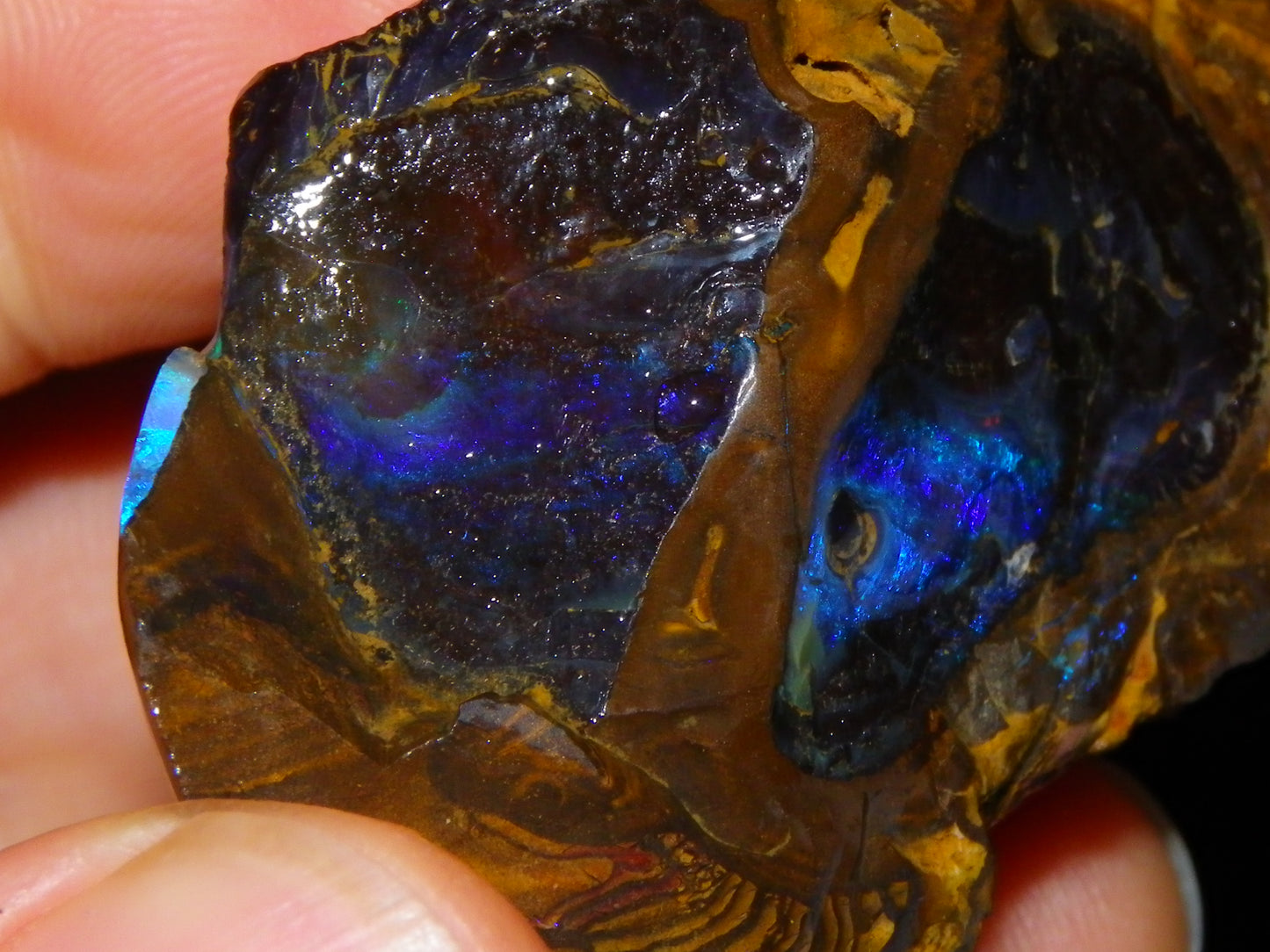 Nice Rough Boulder Opal Specimen 403cts winton Queensland Australia Blue/Greens