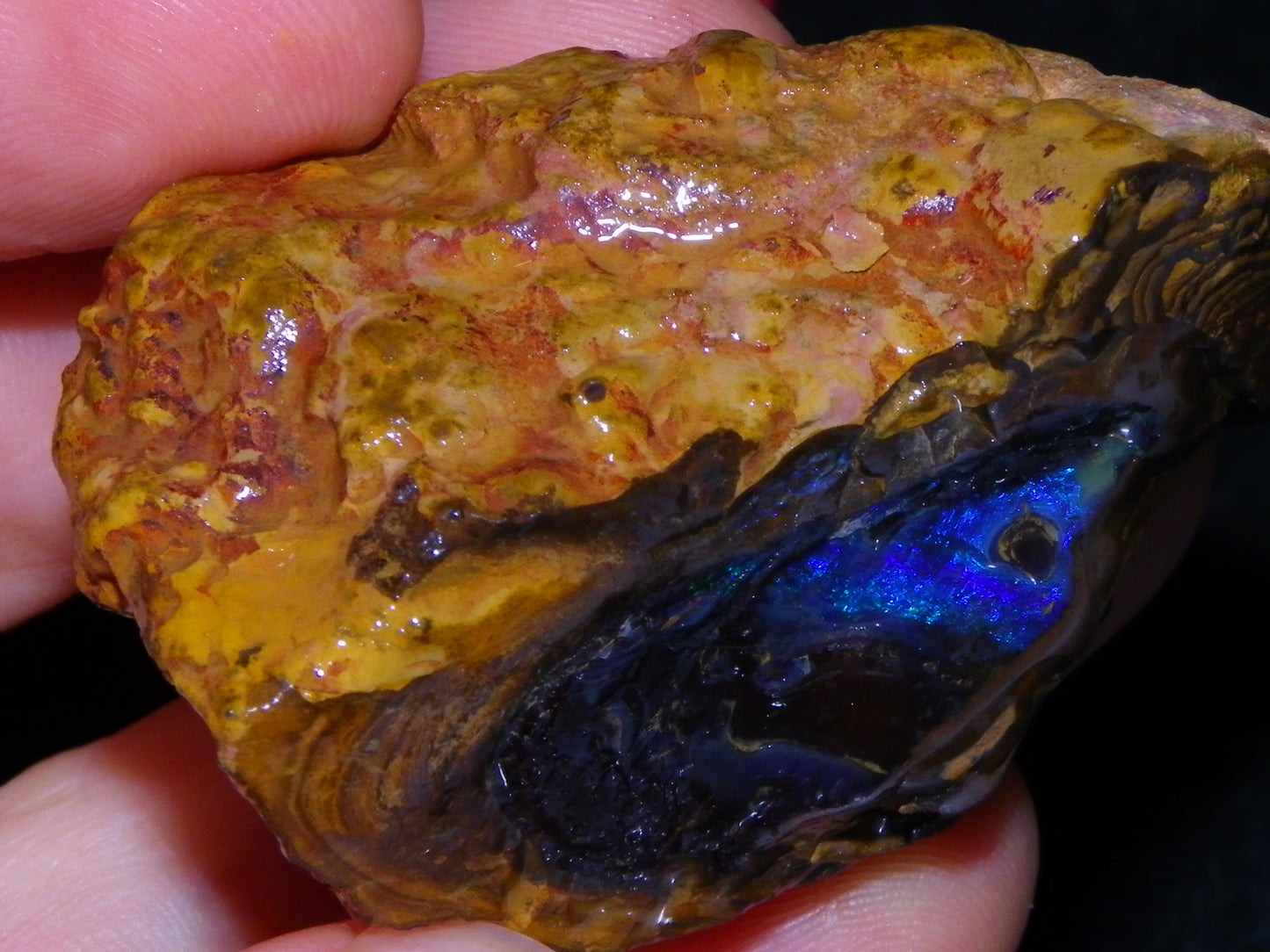 Nice Rough Boulder Opal Specimen 403cts winton Queensland Australia Blue/Greens