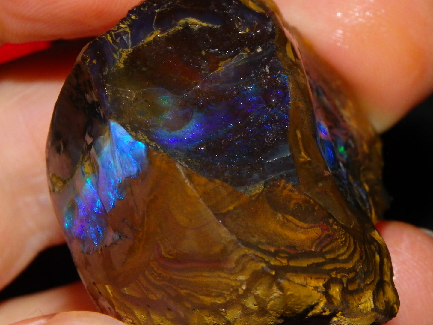 Nice Rough Boulder Opal Specimen 403cts winton Queensland Australia Blue/Greens