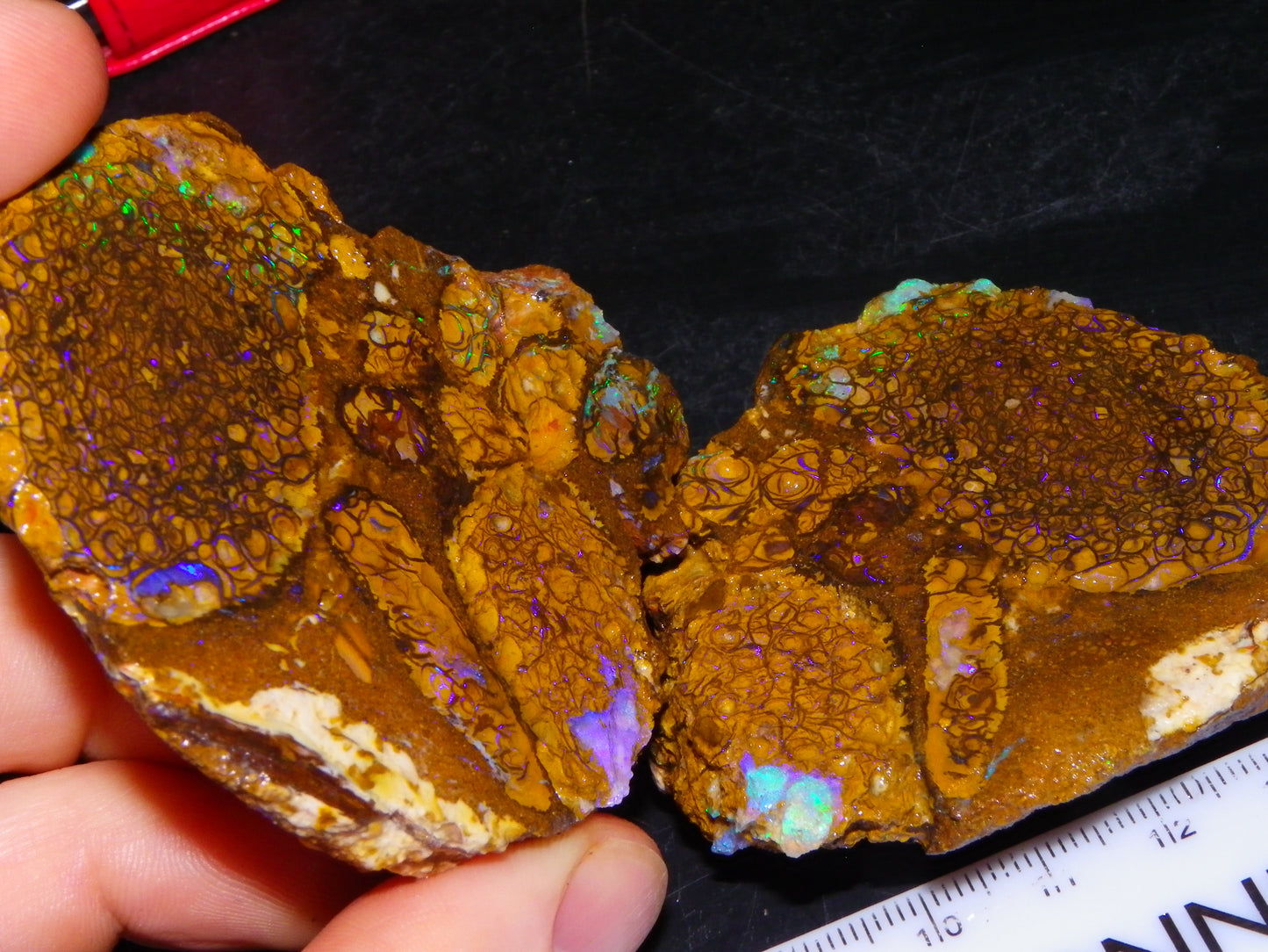 Nice Quality Sliced Koroit Opal Nut 790cts Patterns/Fires Green/Blue Crystal :)