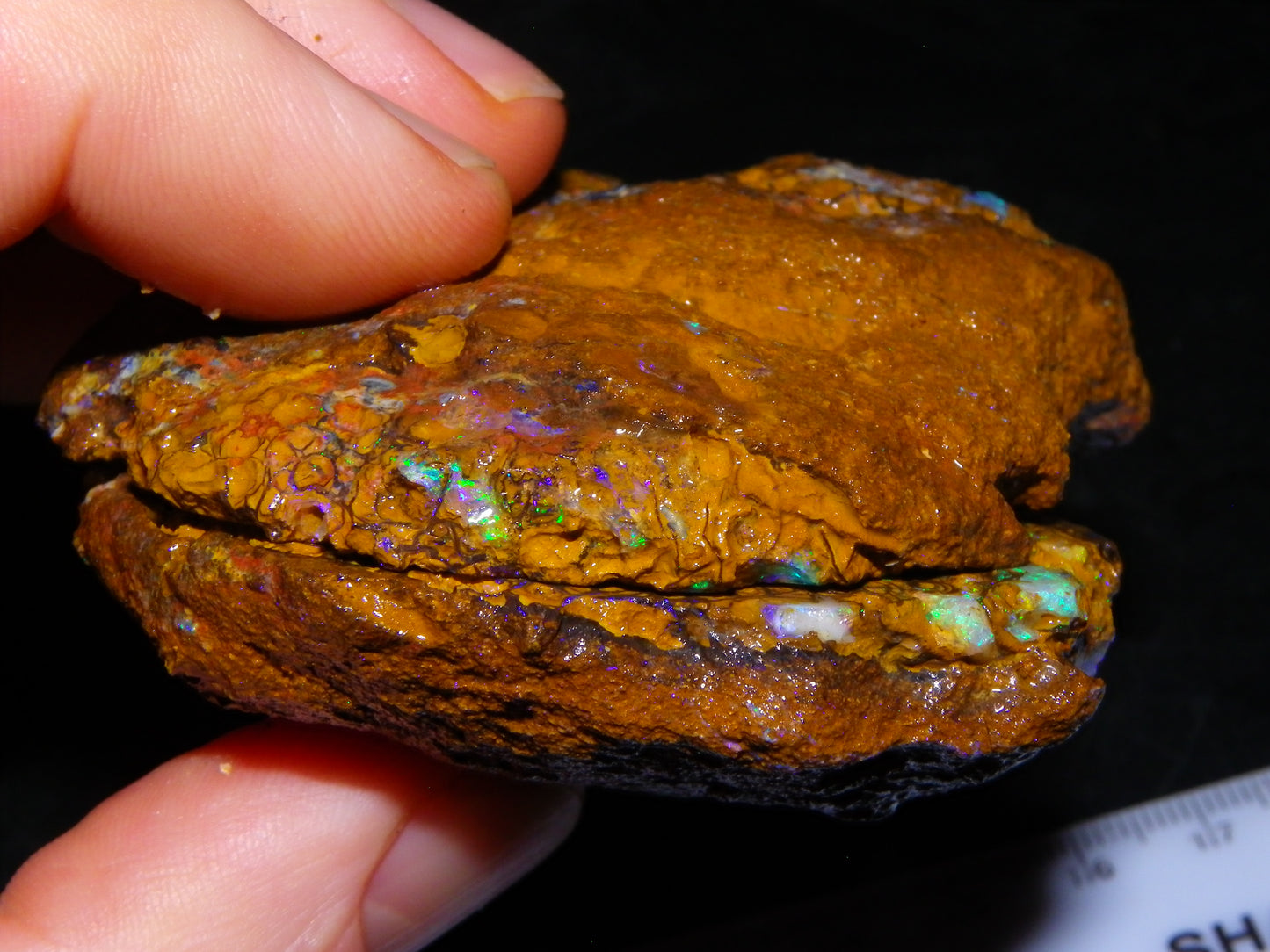 Nice Quality Sliced Koroit Opal Nut 790cts Patterns/Fires Green/Blue Crystal :)