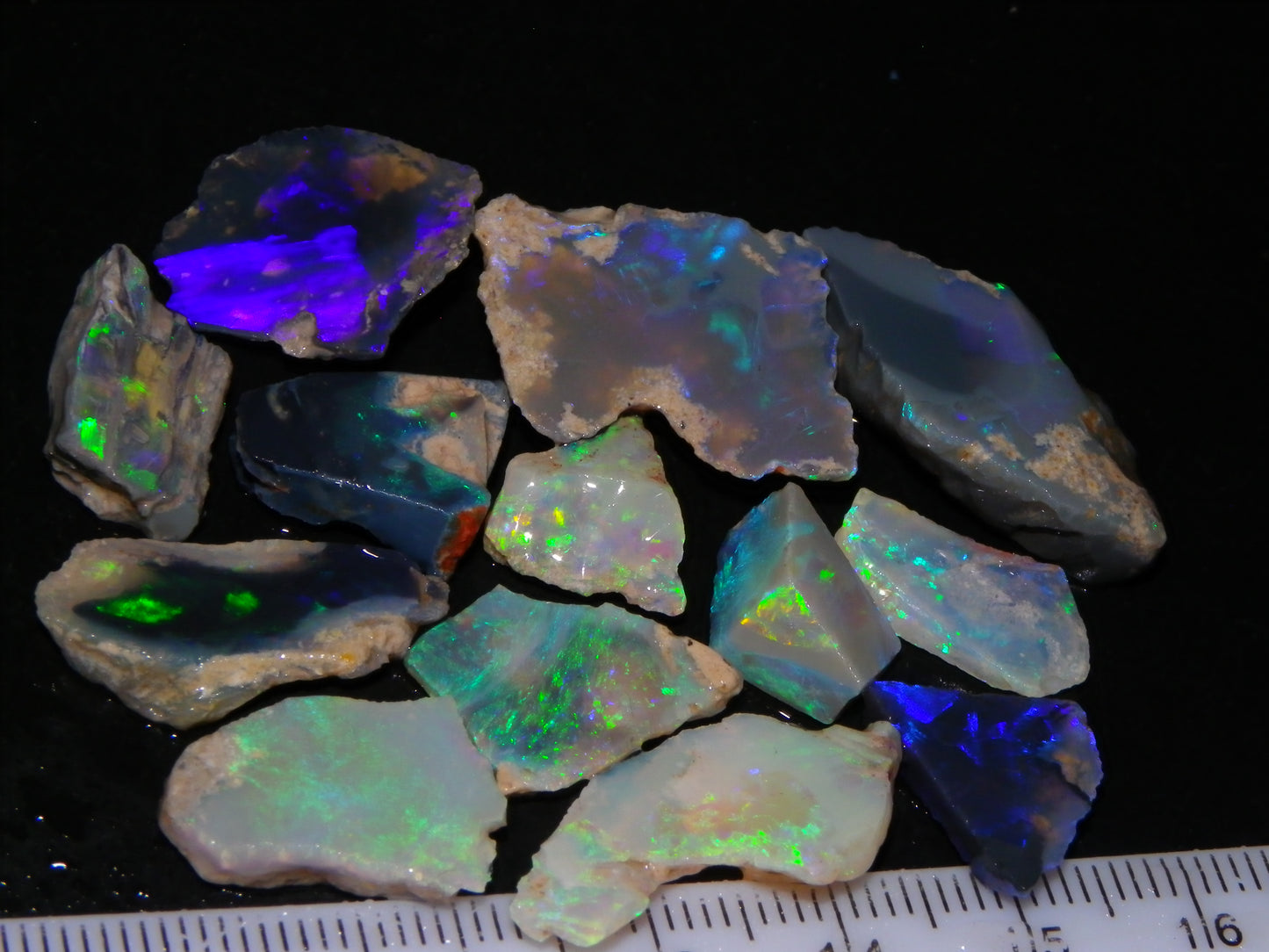 Nice Rough/Sliced/Rubbed Lightning Ridge Opals 63.8cts Blue/Green/Purple Fires