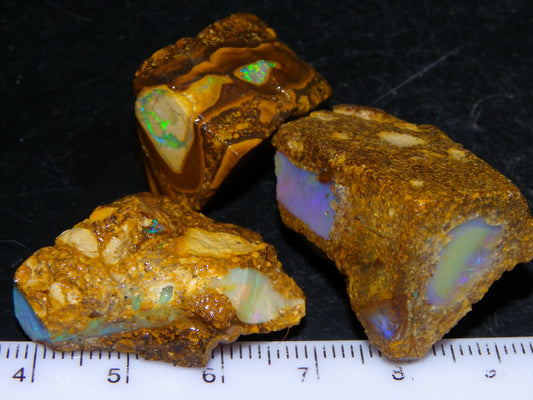 3 Nice Pipe/Crystal Opal Rough specimens 174.5cts Queensland, Opalton Australia