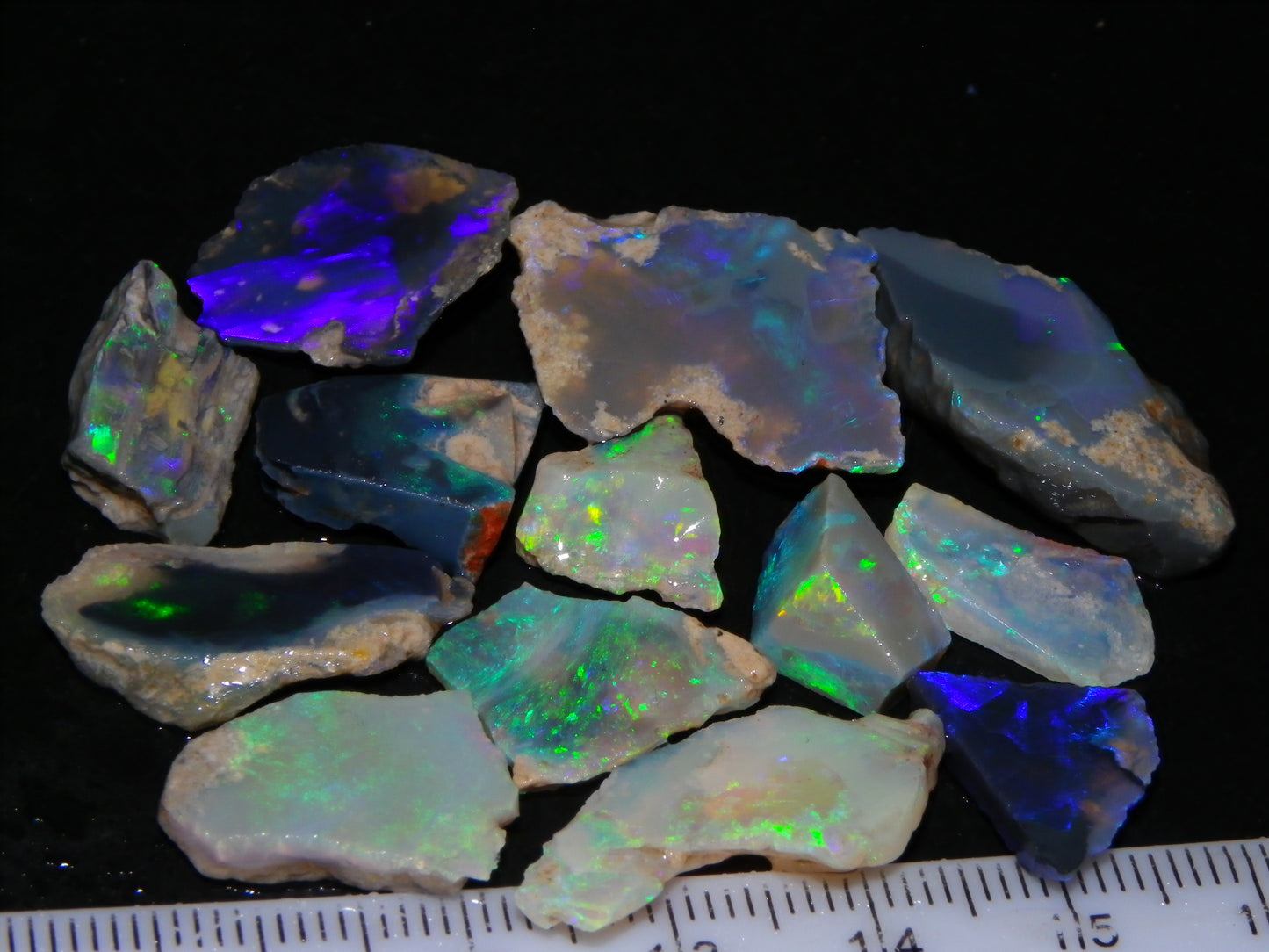 Nice Rough/Sliced/Rubbed Lightning Ridge Opals 63.8cts Blue/Green/Purple Fires