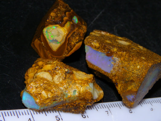 3 Nice Pipe/Crystal Opal Rough specimens 174.5cts Queensland, Opalton Australia
